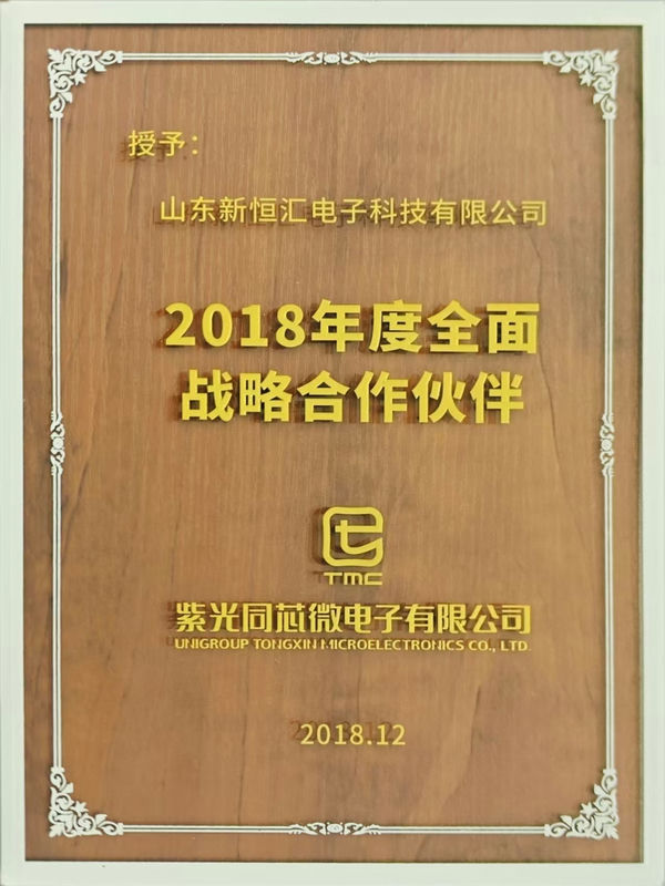 全面戰略合作伙伴