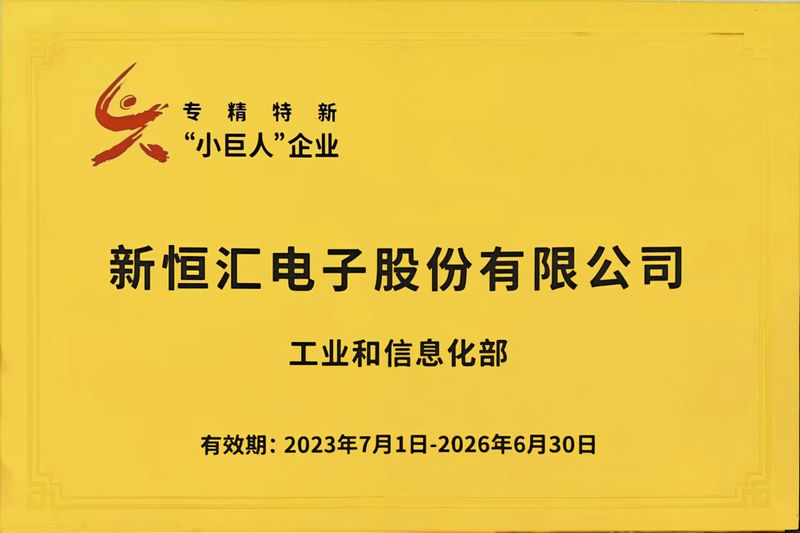 專精特新”小巨人“企業